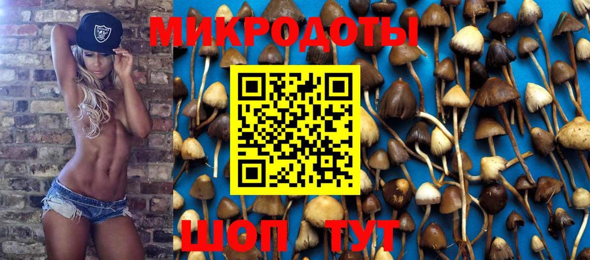 Нижний Новгород  Галлюциногенные грибы Magic Shrooms  Вход с VPN 